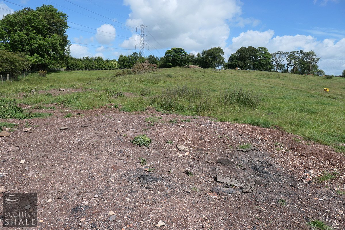 Boghead No.14 image1.jpg