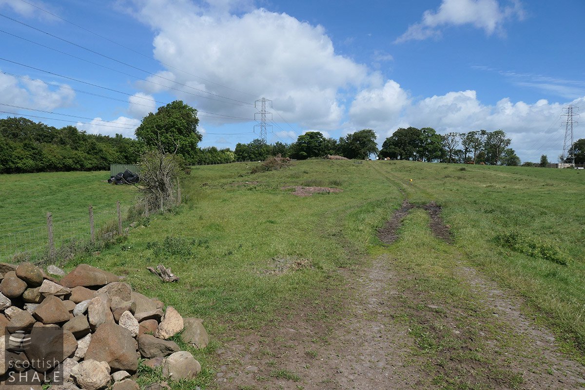 Boghead No.14 image2.jpg