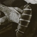 LVSAV1998.042.jpg
