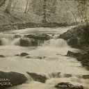 LVSAV2013.042.jpg