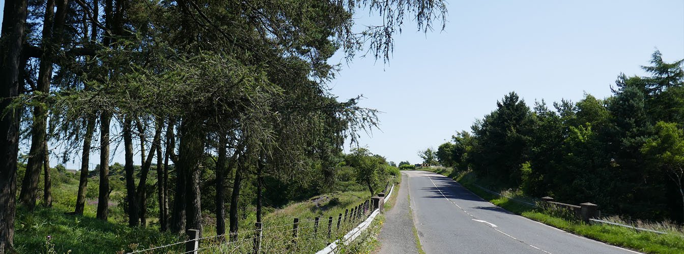P1030834.jpg