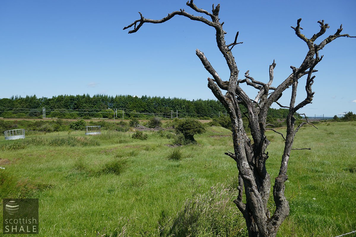 P1030843.jpg