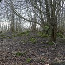 A scatter of dressed stones is all that remains of Hallyards Castle, the 17th century mansion that would once have stood on a gentle mound overlooking the carselands. The ruined building was said to have been affected by mining subsidence and was demolish