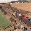 R2021.002.jpg