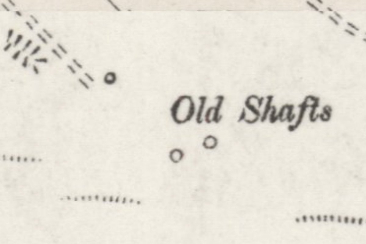 Woodmuir ES10 1895