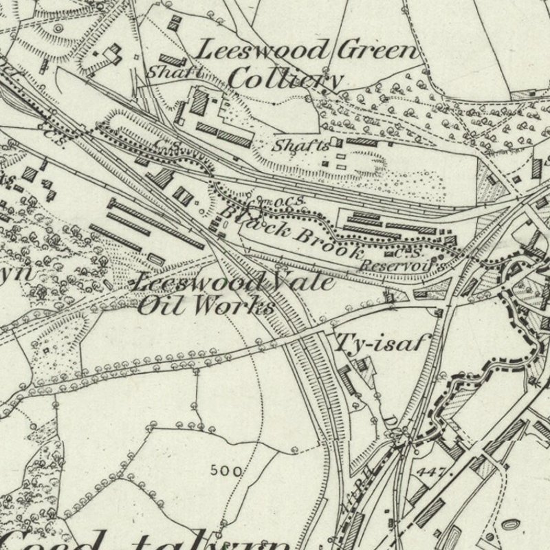 Leeswood Vale Oil Works - 6" OS map c.1879, courtesy National Library of Scotland