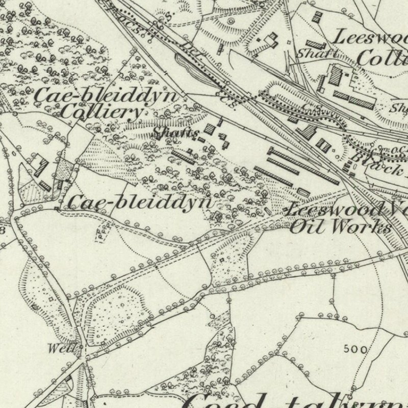 Meadow Vale Oil Works - 6" OS map c.1879, courtesy National Library of Scotland