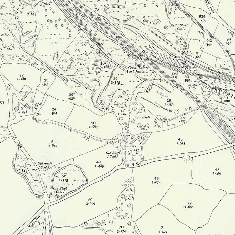 Meadow Vale Oil Works - 25" OS map c.1912, courtesy National Library of Scotland