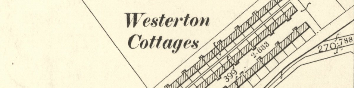 westerton rows mast.jpg