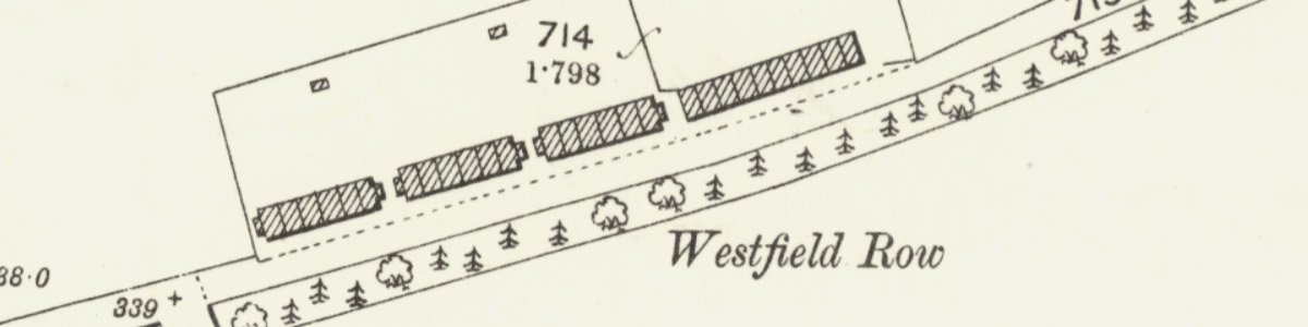 westfield rows mast.jpg